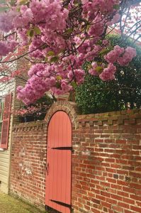 Reply your comment Cancel Reply