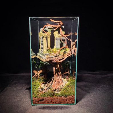 Cómo hacer un terrario cerrado y autosuficiente - Página 29 de 65